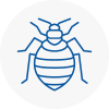 Bed Bug Extermination In Rotherhithe