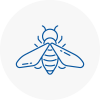 Bee Nest Removal Rotherhithe