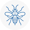 Rotherhithe Hornet Nest Removals