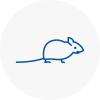 Mice Exterminators In Rotherhithe