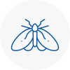 Moth Control Specialists In Rotherhithe