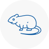Rat Control Rotherhithe