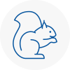 Rotherhithe Rodent Removals