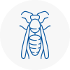Rotherhithe Wasp Nest Removal